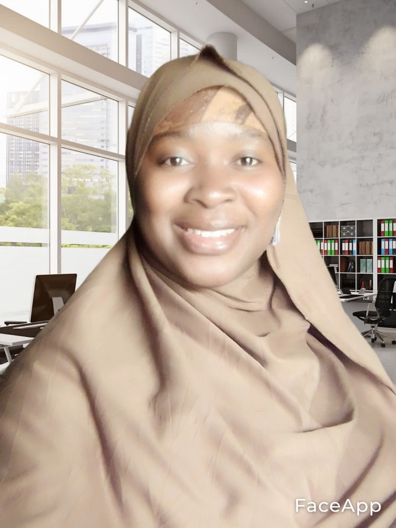 Buy professional cv master class by muizat adejumoke ibrahim on selar