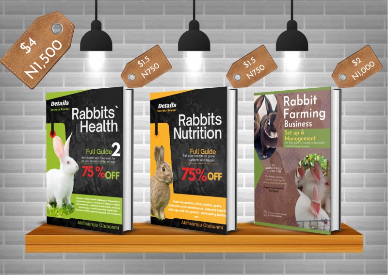 3In1 Rabbit Farming Guide: Akinsuroju Olubunmi