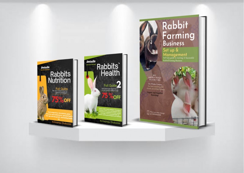 General Rabbit Farming Business Full Guide