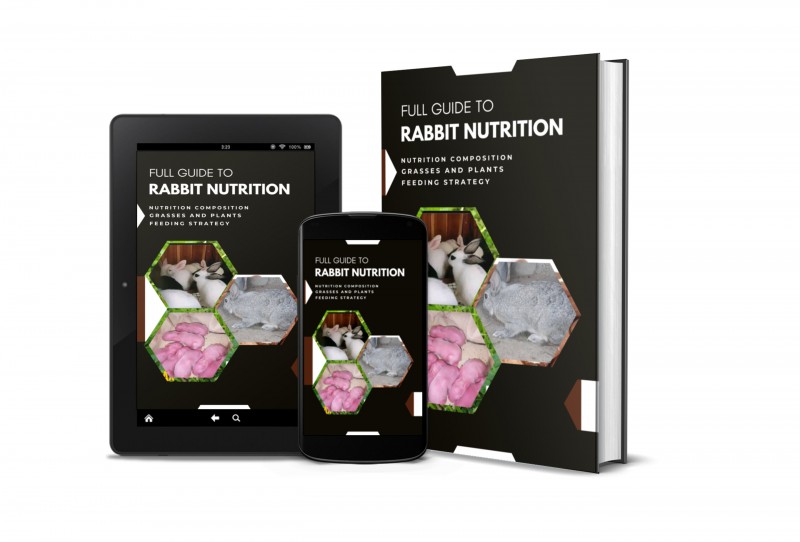 RABBIT FEEDING AND NUTRITION GUIDE