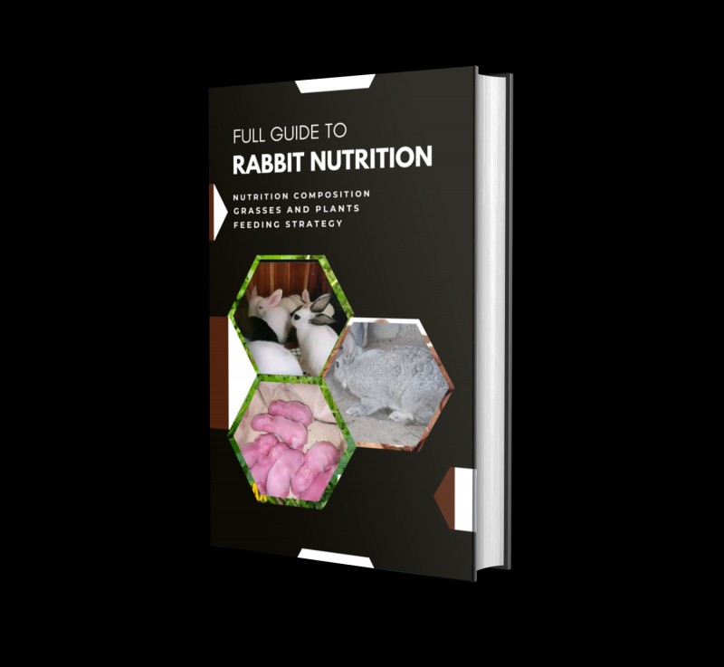 RABBIT FEEDING AND NUTRITION GUIDE