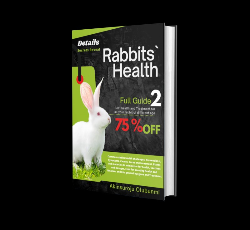Rabbit Health Care Management Ebook