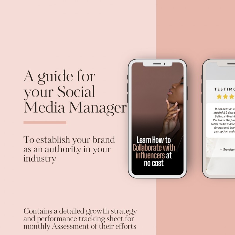 A Step by Step Guide to Establishing your Brand as an Authority on social Media