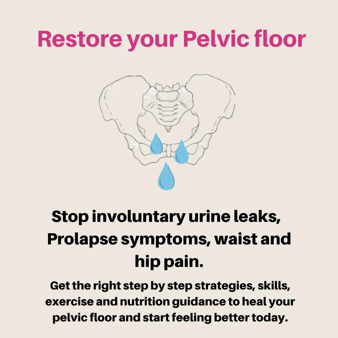 The Pelvic Floor Guide