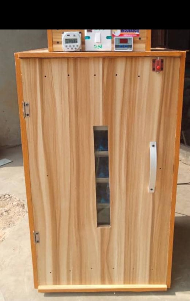300 egg capacity Incubator