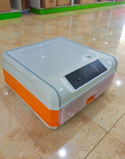 60 egg capacity Incubator