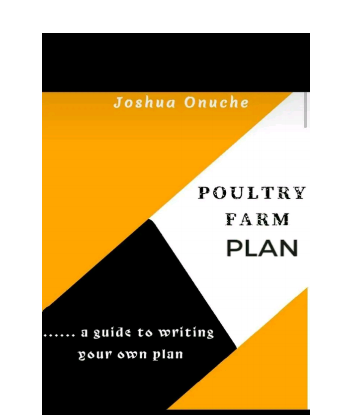 Business plan template