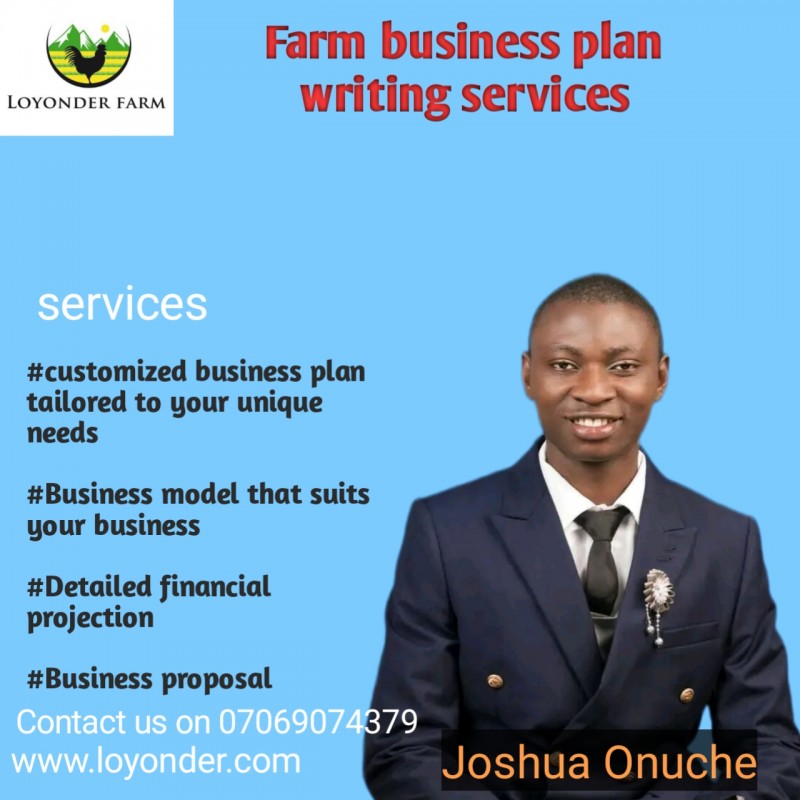Business plan writing services