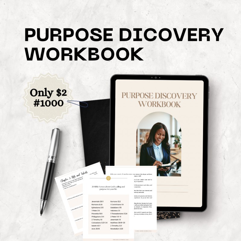 Buy THE PURPOSE DISCOVERY WORKBOOK by Oluwaseun Olayemi on Selar
