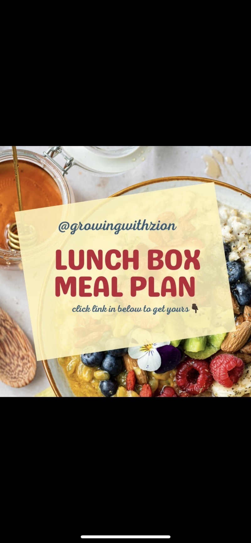 4 WEEKS LUNCH BOX MEAL PLAN