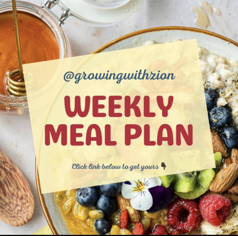 WEEKLY MEAL PLAN