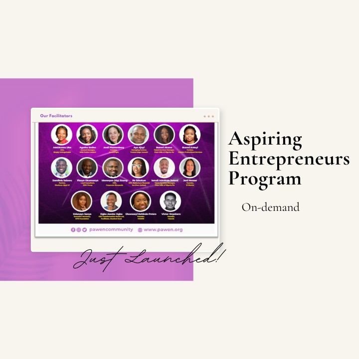 Aspiring Entrepreneurs Program