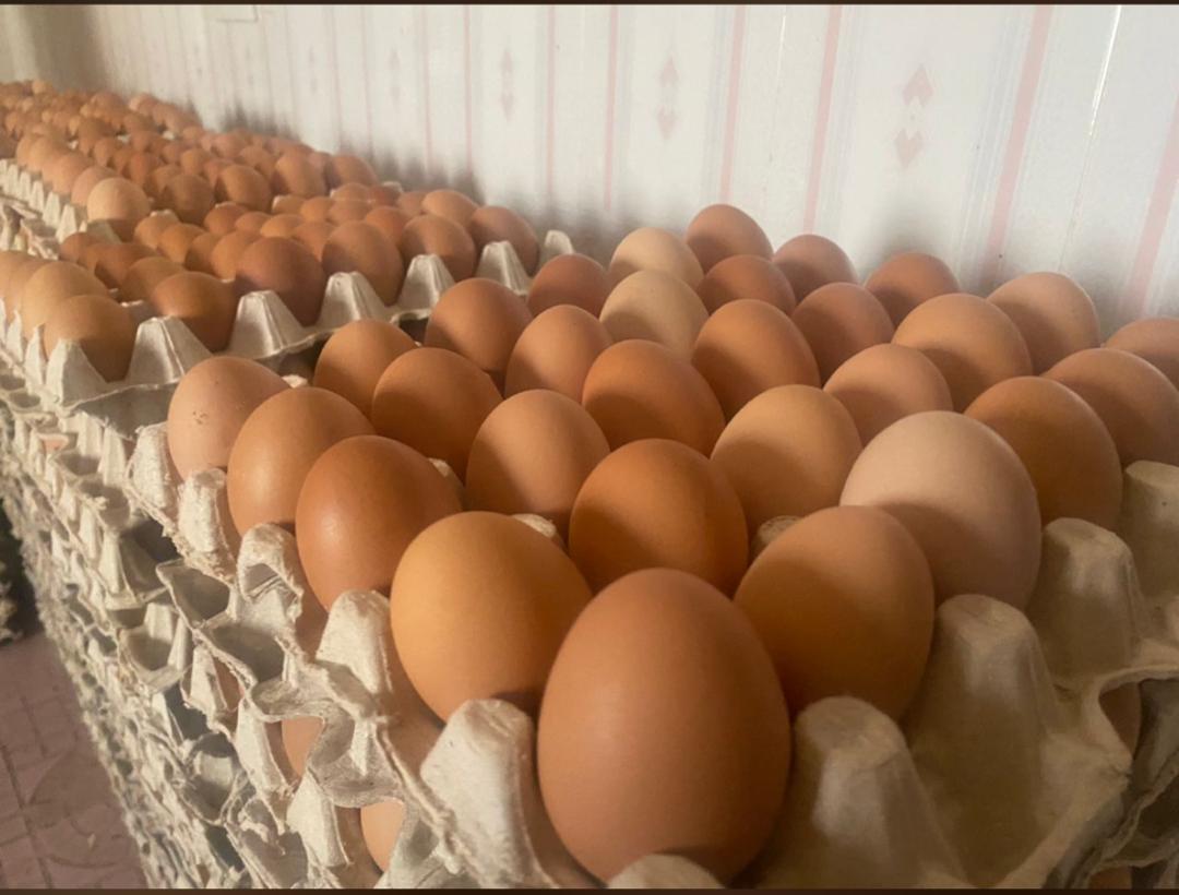Eggs