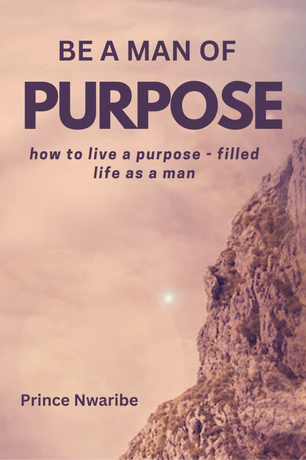 Be a Man of Purpose