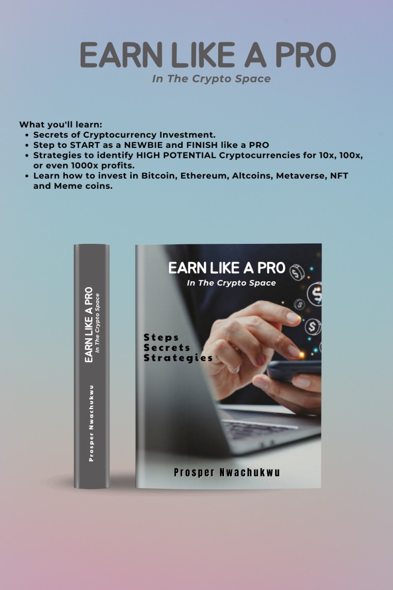 Buy Earn Like A Pro by Nwachukwu Prosper Chisom on Selar