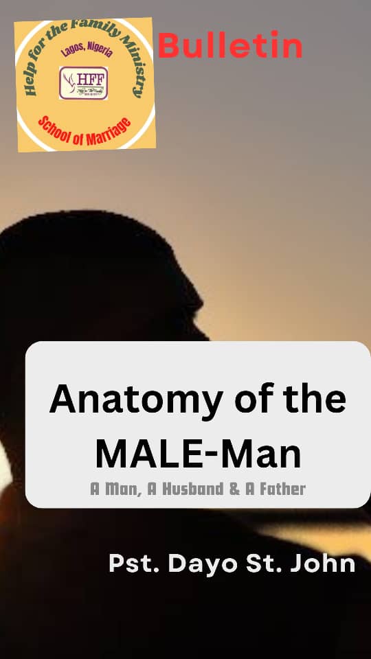 Anatomy of the MALE-Man