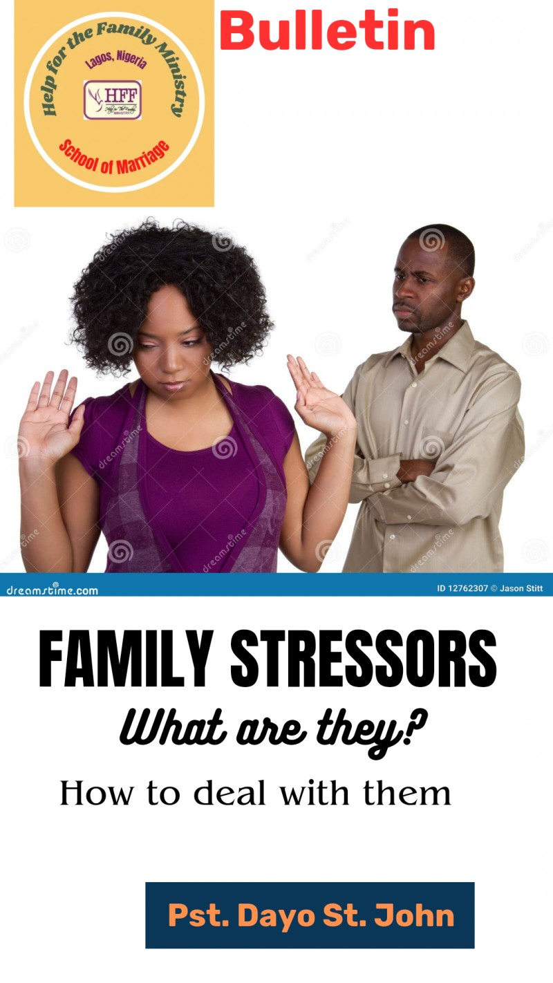 FAMILY STRESSORS: What Are They? How to Deal with Them