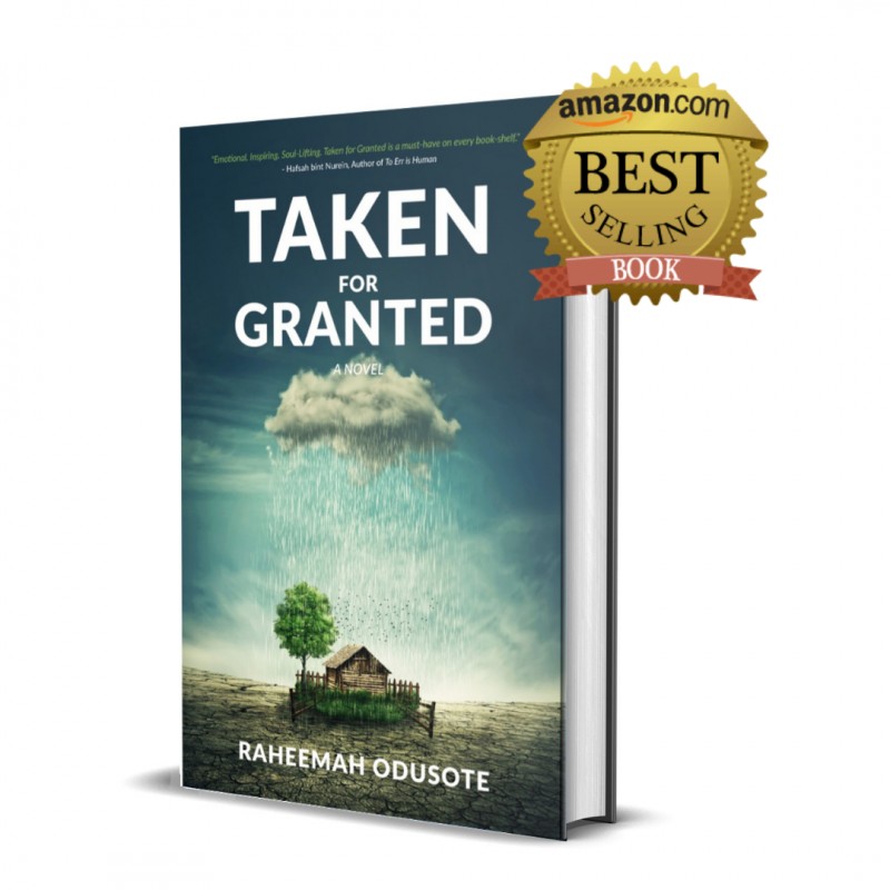 Taken for Granted (A Novel) eBook