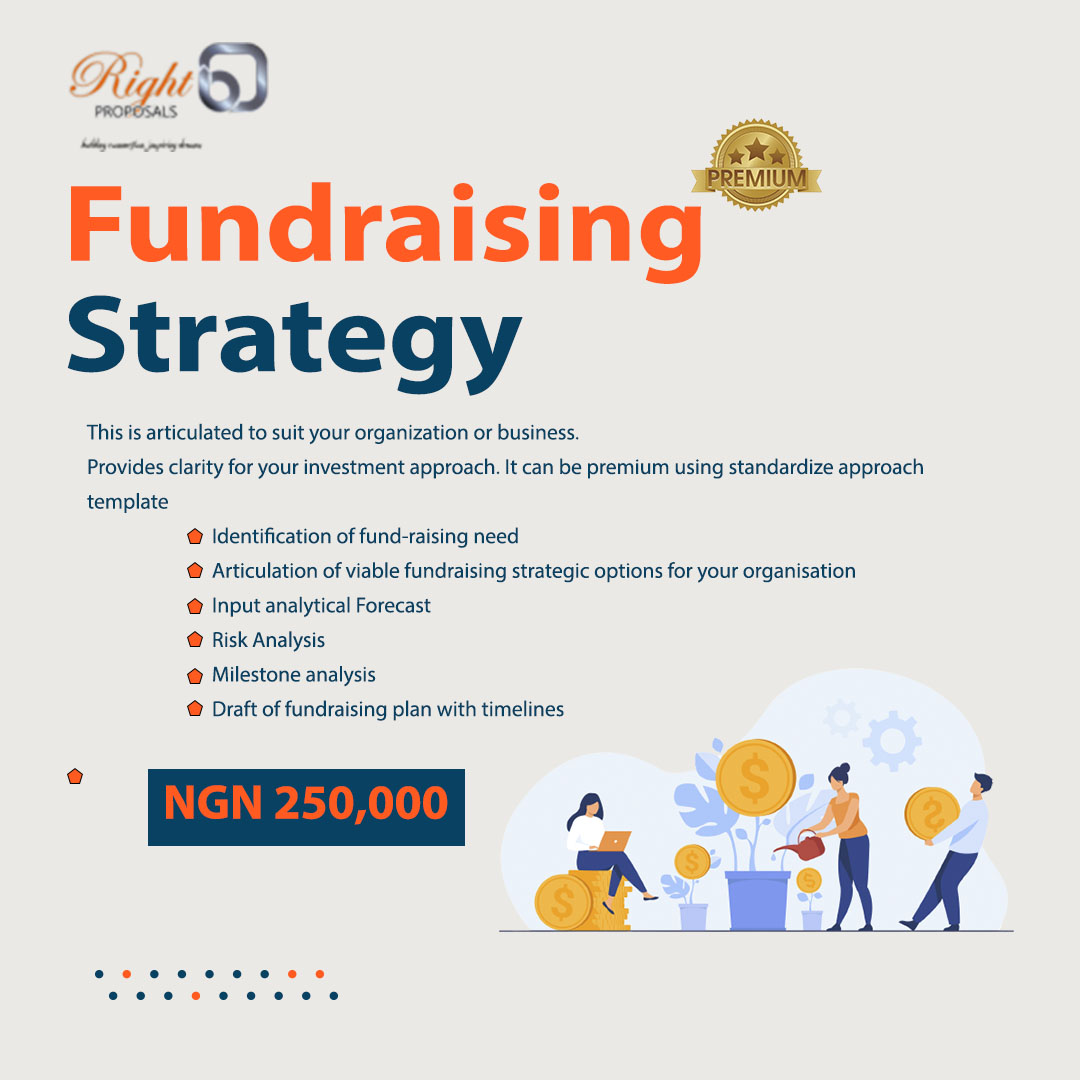 Fundraising Strategy Premium