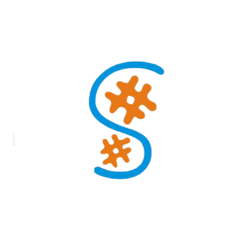 Buy Basic by Public Relations And Media on Selar