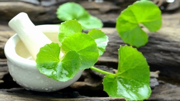 Brahmi Powder 100g
