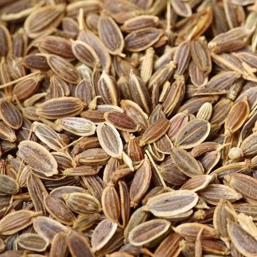 Dill Seeds 100g