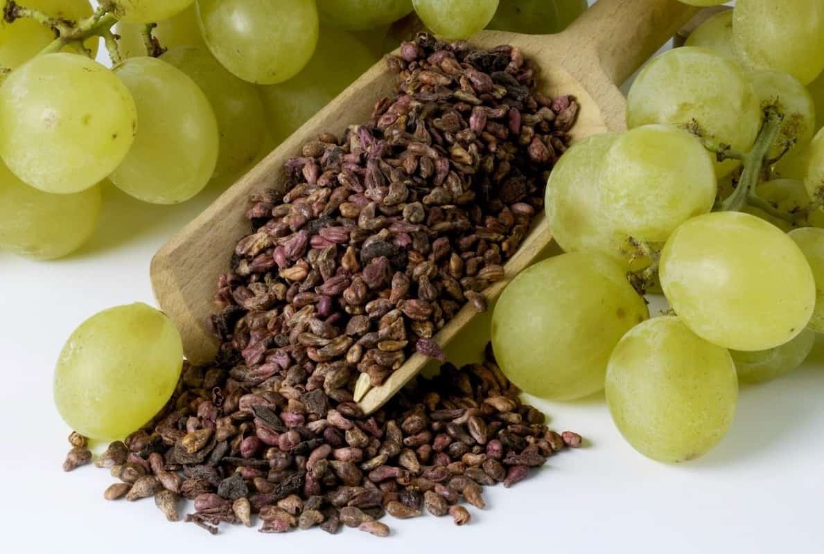 GRAPE SEED 100g