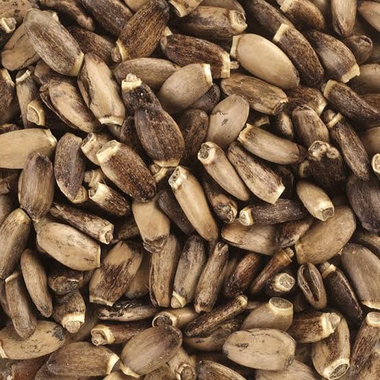 MILK THISTLE SEEDS 100g