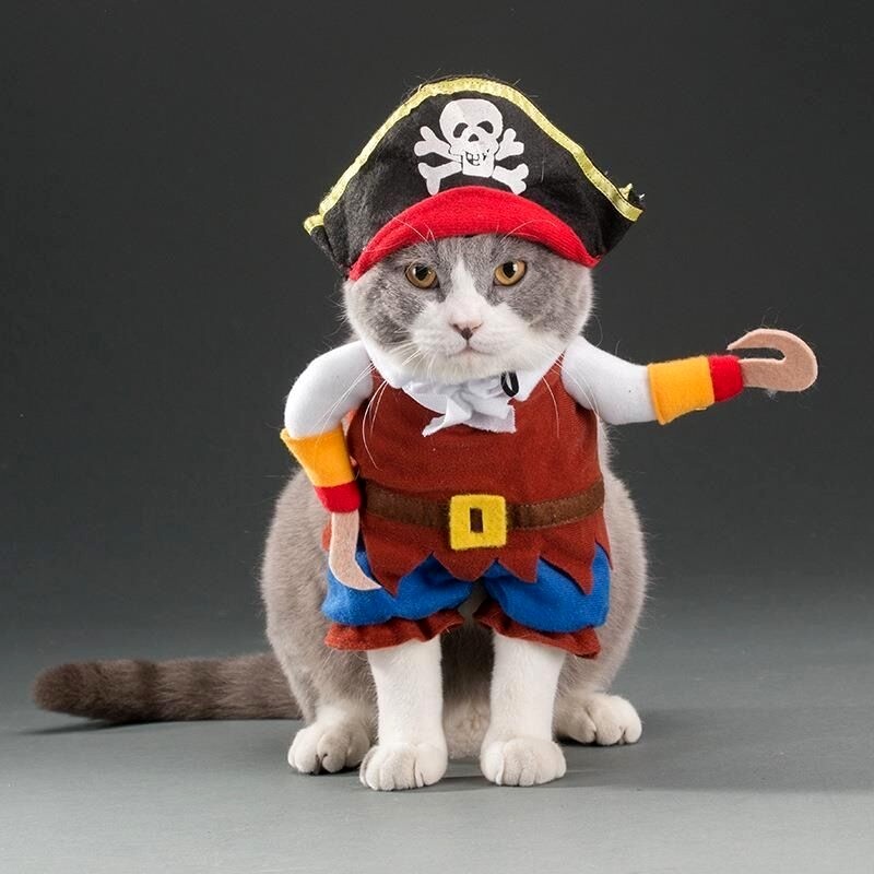 Funny Dog cloth