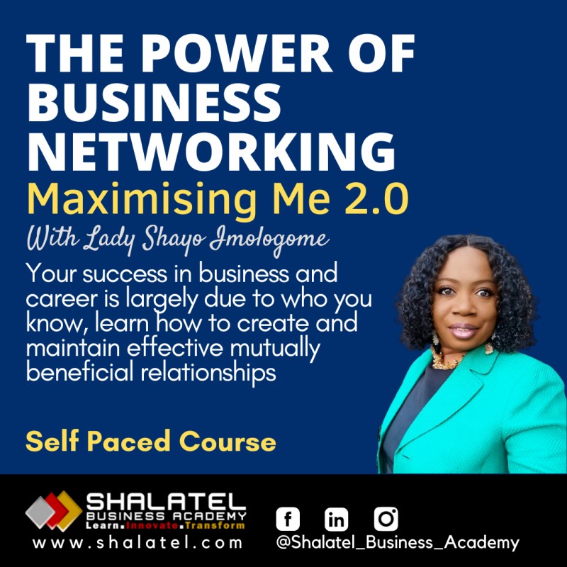 THE POWER OF BUSINESS NETWORKING - EFFECTIVE STRATEGIES FOR BUSINESS AND CAREER SUCCESS
