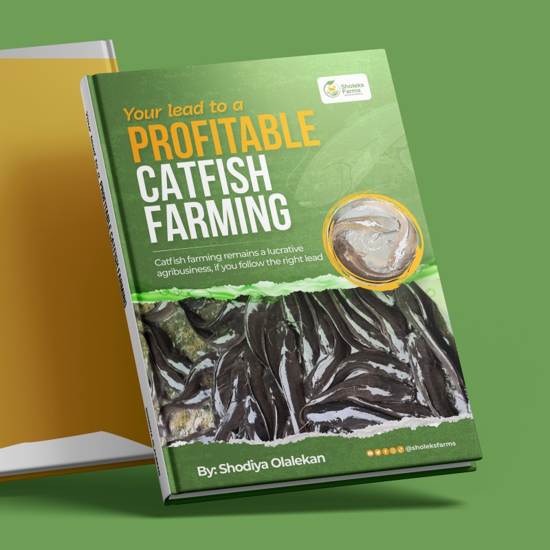 YOUR LEAD TO A PROFITABLE CATFISH FARMING
