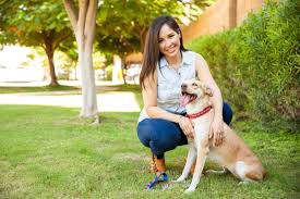 🐺🐺Caring-For-Your-Dog🐺🐺