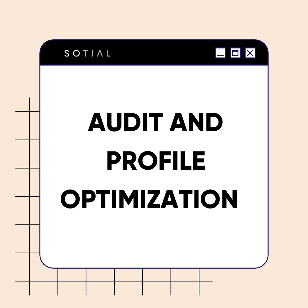 Instagram Audit