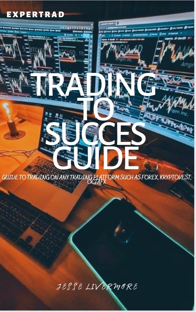 Buy TRADING TO SUCCESS GUIDE by Makeba khuluma on Selar