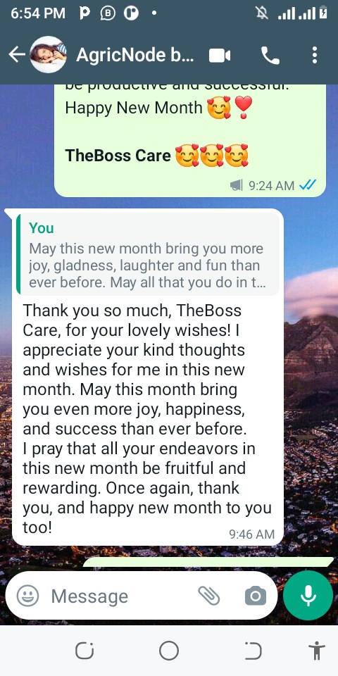 Customer review 8