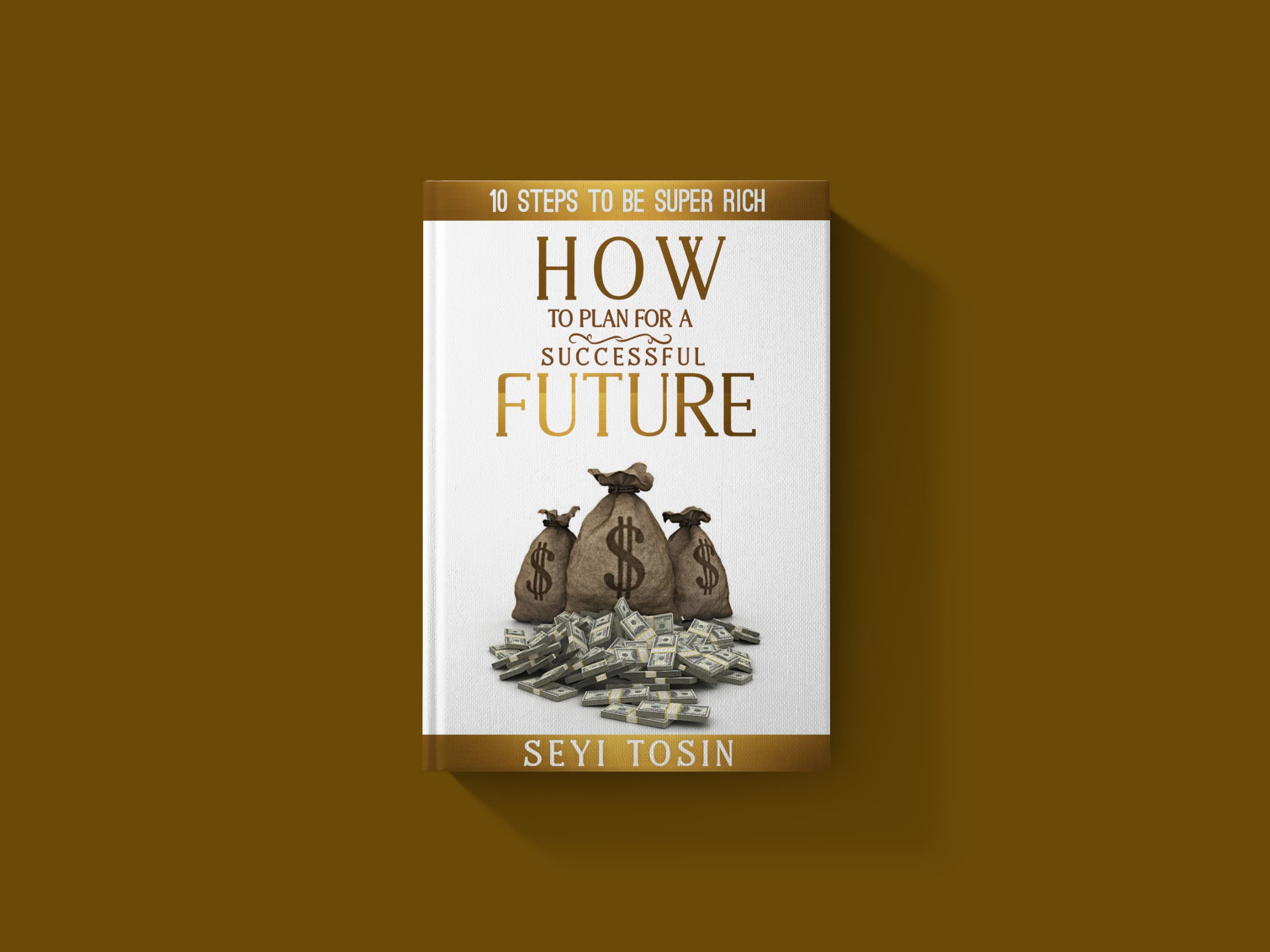 HOW TO PLAN FOR A SUCCESSFUL FUTURE: 10 Steps to be super Rich ( First Hand Guide documents)