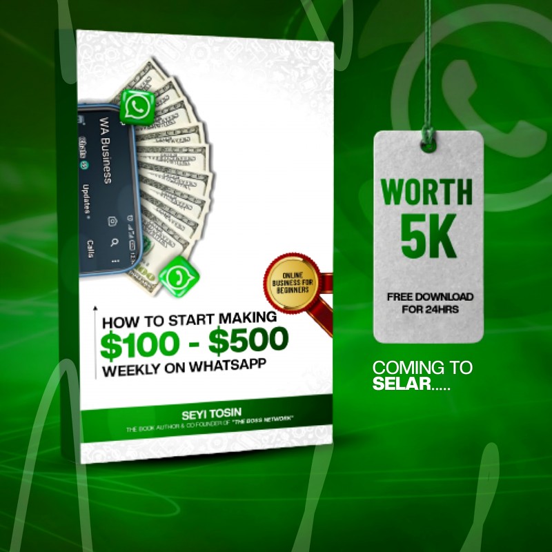 How To Start Making $100-$500 monthly on WHATSAPP: Build a system that pay you in Naira and dollars using Whatsapp