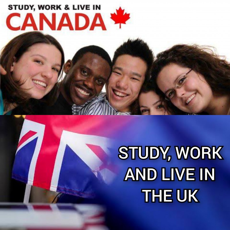 VISA AND IMMIGRATION CONSULTING