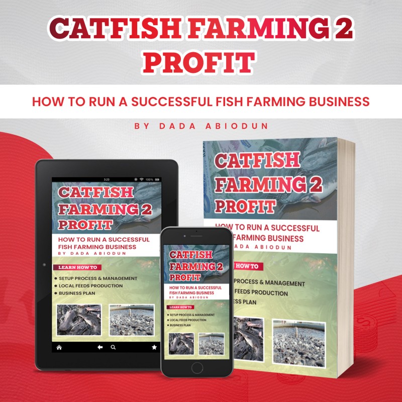 Buy CATFISH FARMING 2 PROFIT by Sanya Tolu on Selar.co