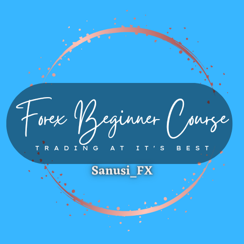 Forex Beginner Course