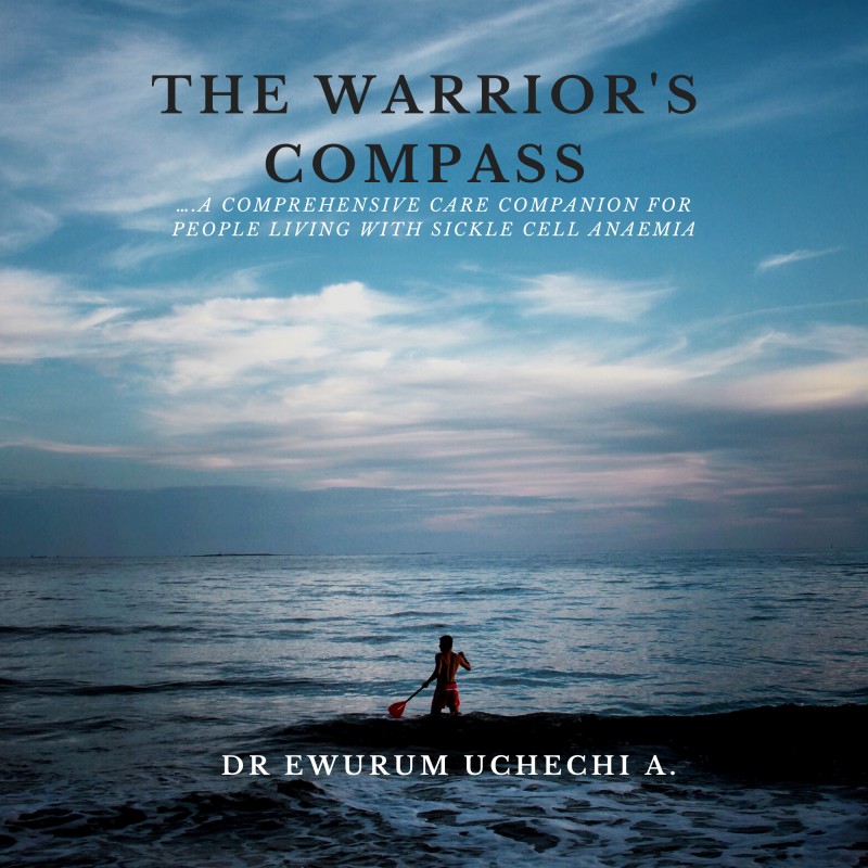 Buy THE WARRIOR'S COMPASS by EWURUM UCHECHI AZUOMA on Selar