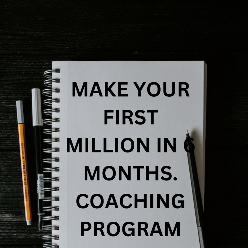 MAKE YOUR FIRST MILLION IN 6 MONTHS