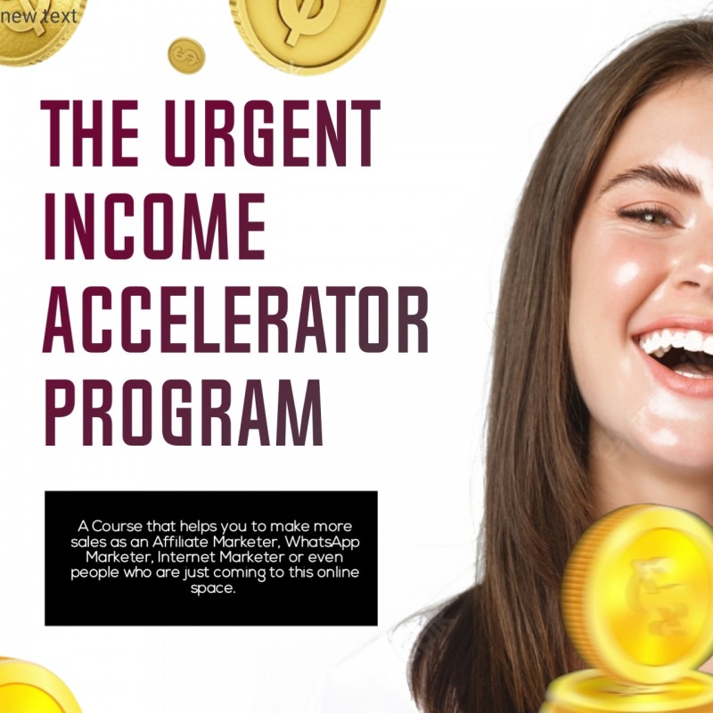 Buy The Urgent Income Accelerator Program by Williams Princesster on Selar