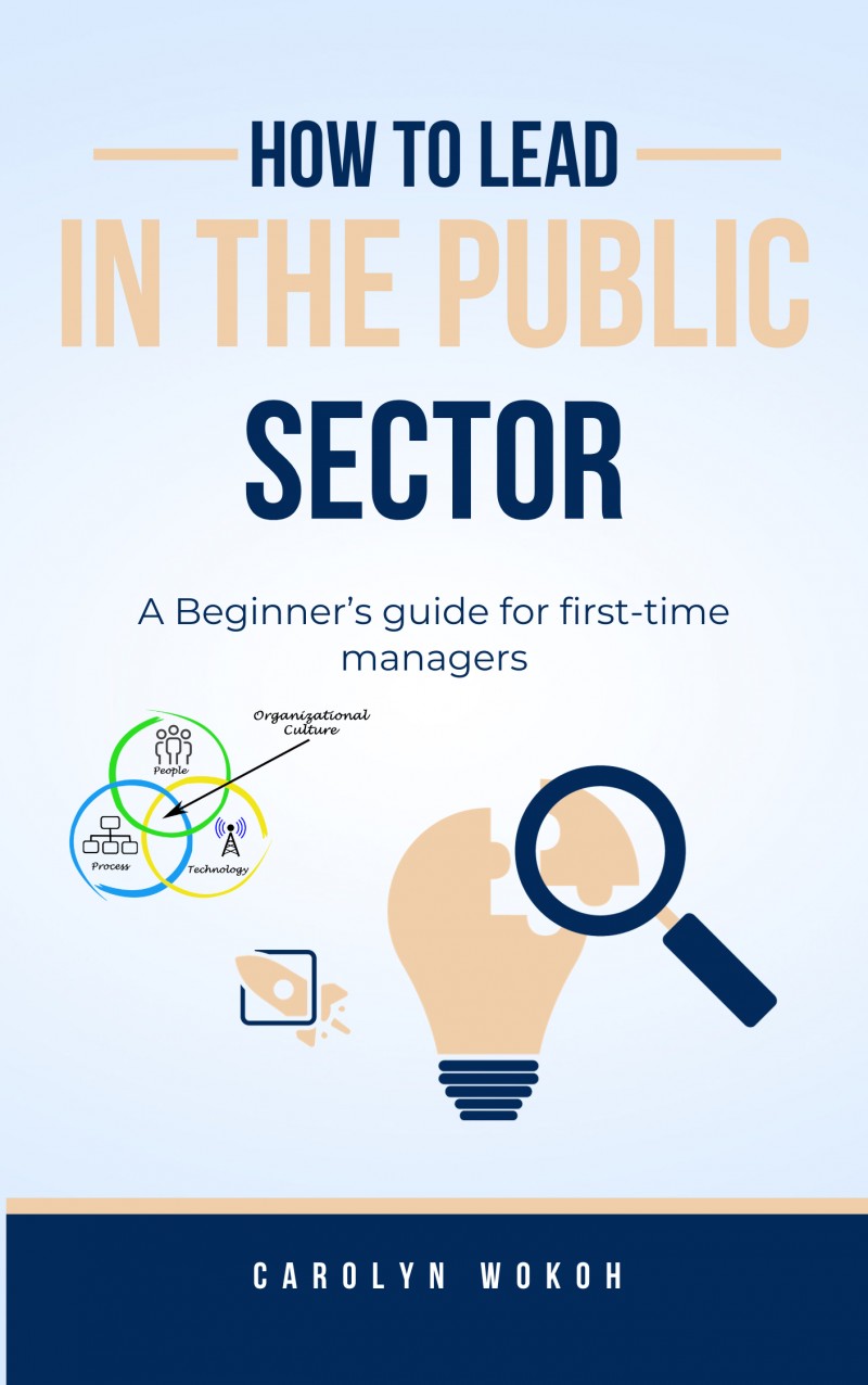 How To Lead in the Public Sector - A Beginner's guide for first-time managers