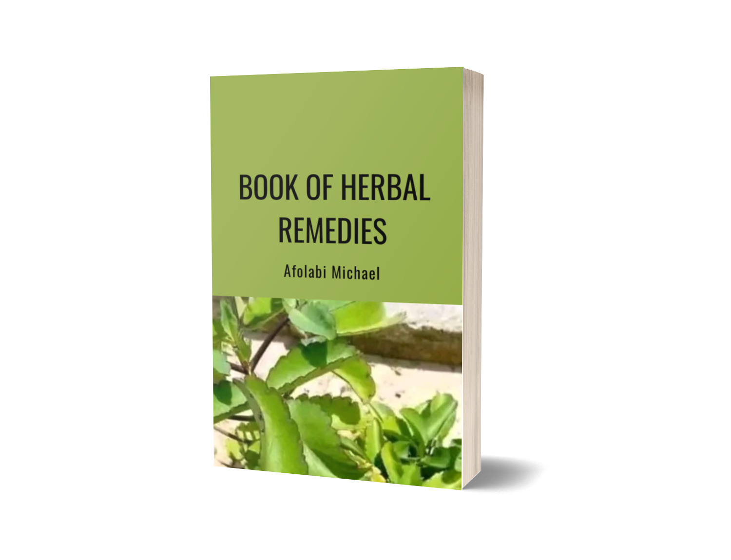 Herbal Remedies