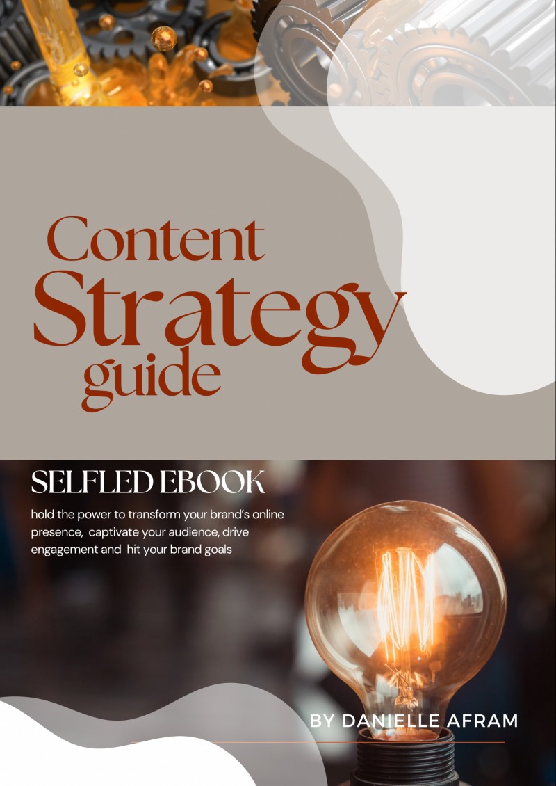 Buy Content Strategy Guide by Danielle Afram on Selar