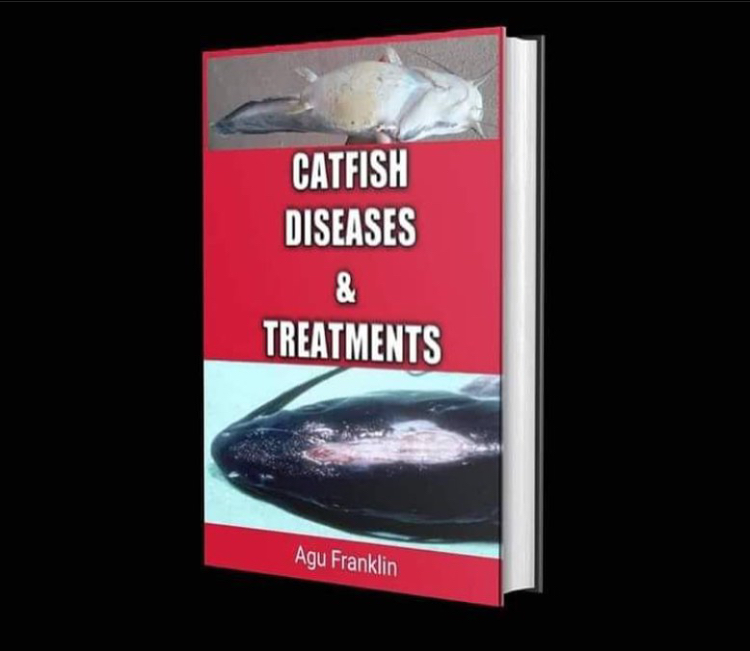 Catfish Disease and Treatments