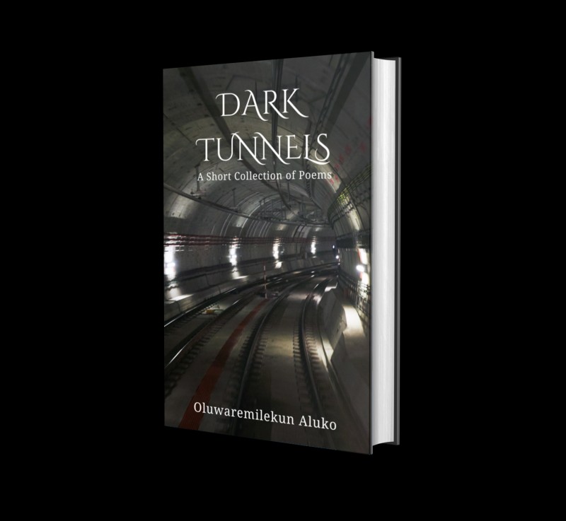 Buy Dark Tunnels (Audiobook) by Aluko Oluwaremilekun on Selar.co