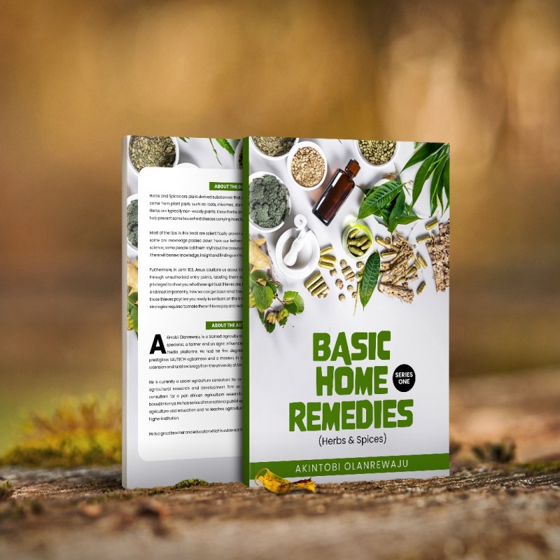 Buy Basic Home Remedy (Herbs and Spices) by Akintobi Olanrewaju on Selar.co