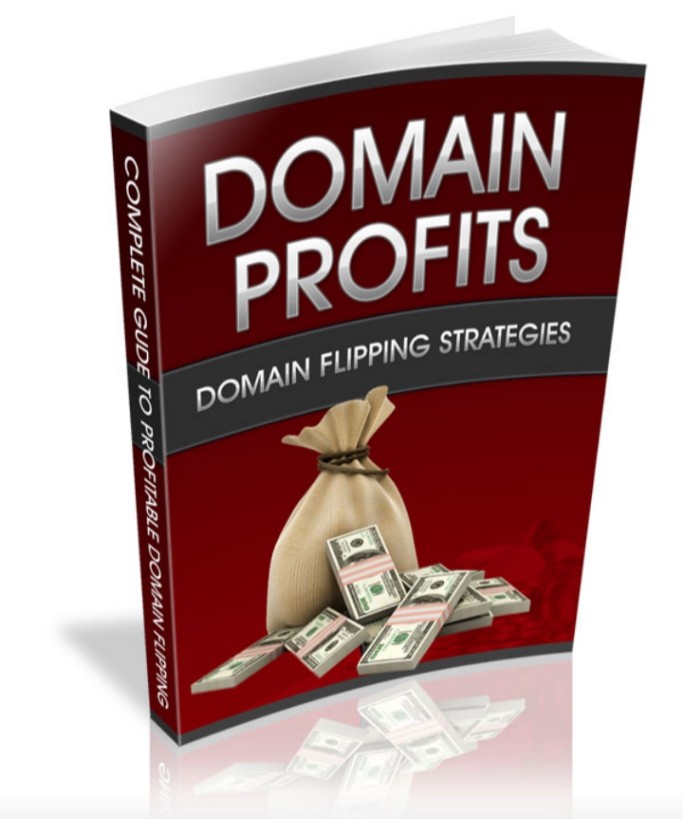 Domain profits domain flipping strategies!